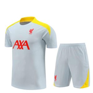 Hauts Et Tee-Shirts  Homme | Liverpool Fc Strike 3E Tenue Hauts Et Tee-Shirts Chrome Yellow