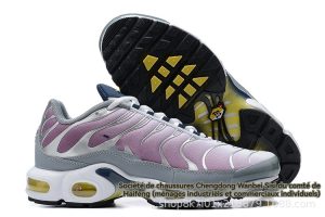 Lifestyle  Femme | Air Max Plus Chaussures Cool Grey