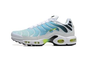 Lifestyle  Homme | Air Max Plus Chaussures Blanc