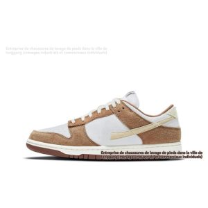 Lifestyle  Homme | Dunk Low Retro Premium Chaussures Fossil